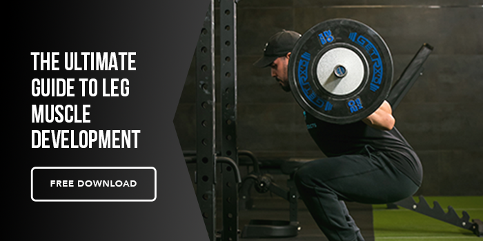 Leg Muscle Development Guide