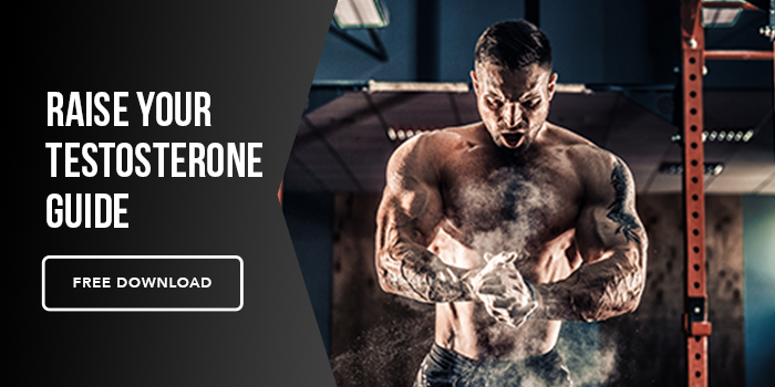 Raise Your Testosterone Guide | Mind Pump
